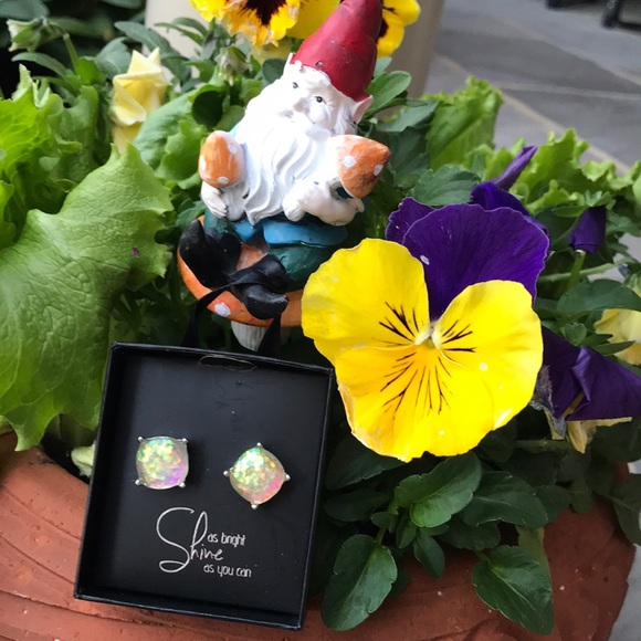 Pierced Earrings in a gift box - look like opals - Picture 1 of 8